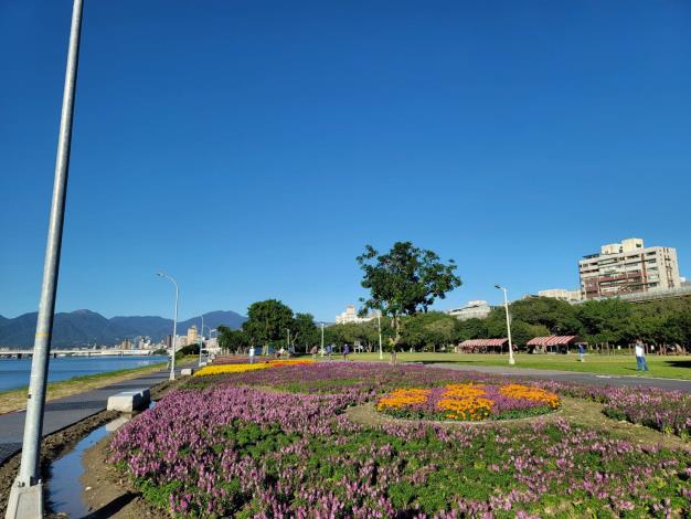 110年延平河濱花海1