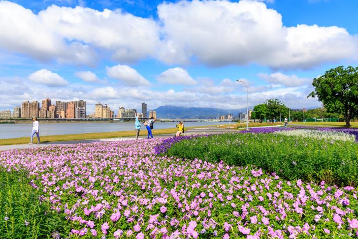 延平河濱花海  幸福徜徉花海中