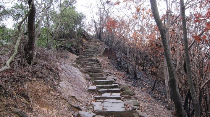 山林火災燒盡地表植被，如適逢大雨，容易發生土石流失情形。.JPG