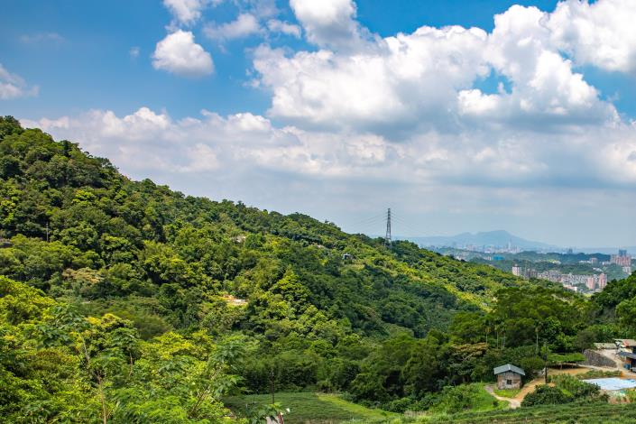 照片3　貓空水土保持茶園木棧道沿線飽覽茶園景緻