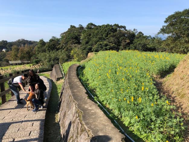 照片3-第一批魯冰花來報到.JPG