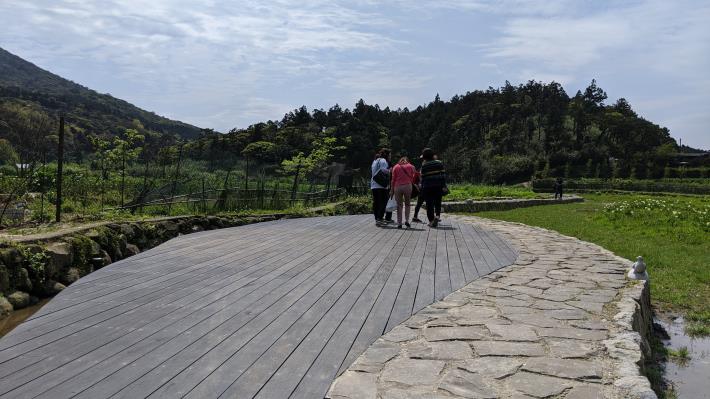 6.嶄新的海芋平台