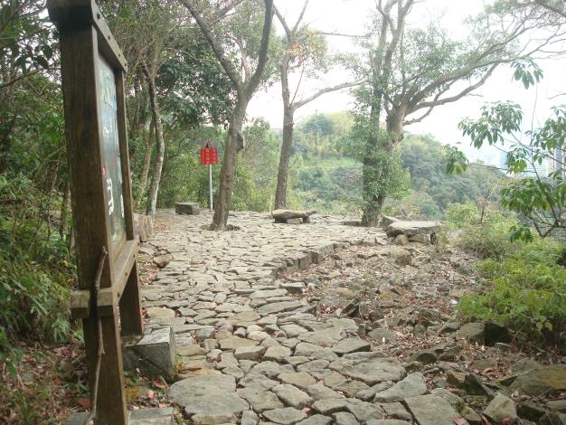 08石塊拼起地面的白臼樹石地坪.JPG