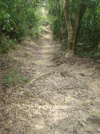 07饒富自然野趣的土石路徑.JPG