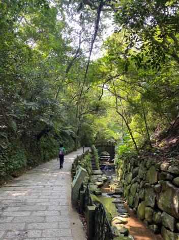 照片1　虎山溪綠色隧道