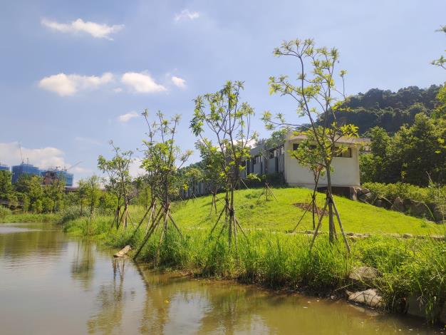 永春陂濕地公園-木屑維管步道