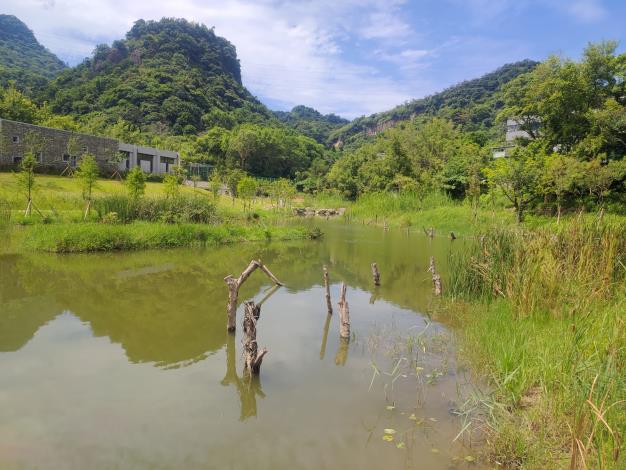 永春陂濕地公園依山傍水美景2