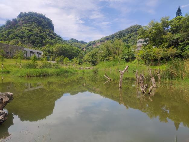 永春陂濕地公園生態與慢慢進駐