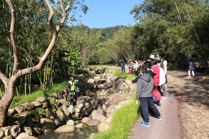 桃源溪環境教育活動(3).JPG