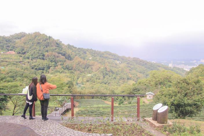 照片3　展演廣場俯瞰茶園梯田景致。