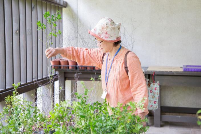 10活動現場免費贈送樹苗 歡迎自備環保袋領取 數量有限贈完為止