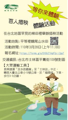 2.鵝尾山水田－百人插秧體驗活動