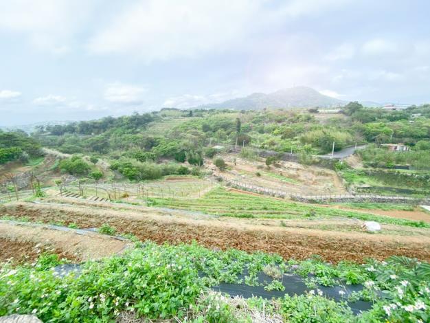 3.遠眺梯田景致