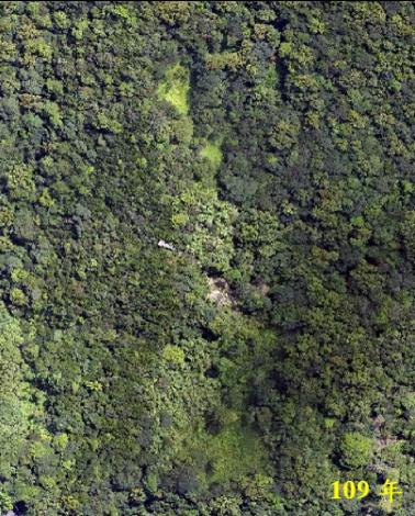 為推動108年起的4年計畫，大地處在107年(左圖)先行小區域疏伐試驗，對比109年(右圖)的結果，裸露地目前綠覆蓋幾乎已達100%。(2)