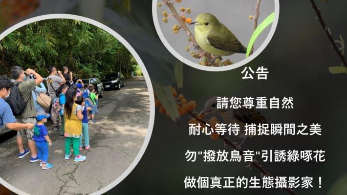 04讓我們用尊重自然的方式，善用偽裝、耐心等待來捕捉瞬間之美，做個真正的生態攝影家。