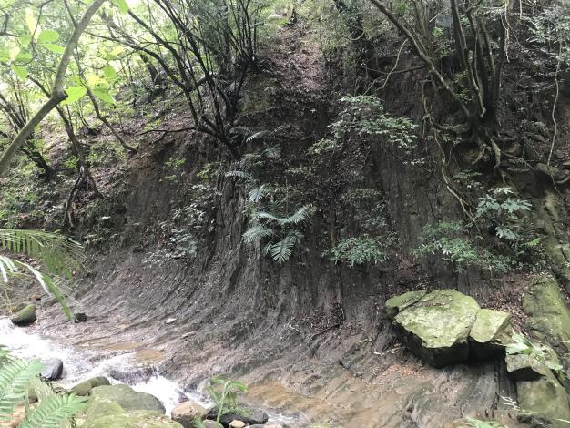 07河道的內側山壁褶皺地質景觀.JPG