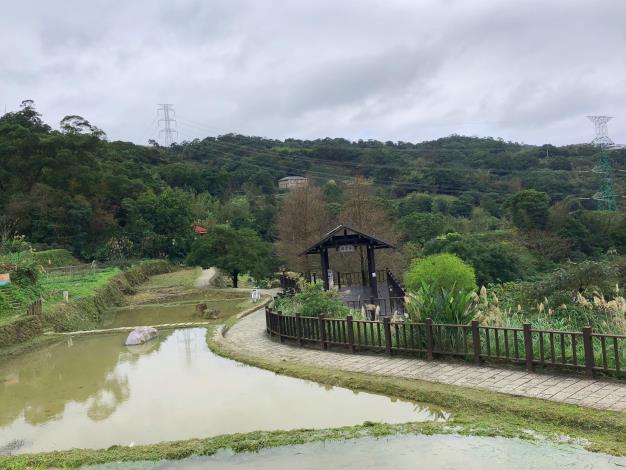 1-樟樹步道水梯田.JPG
