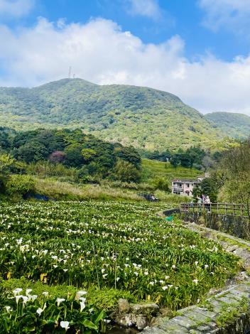 3-山景與花景