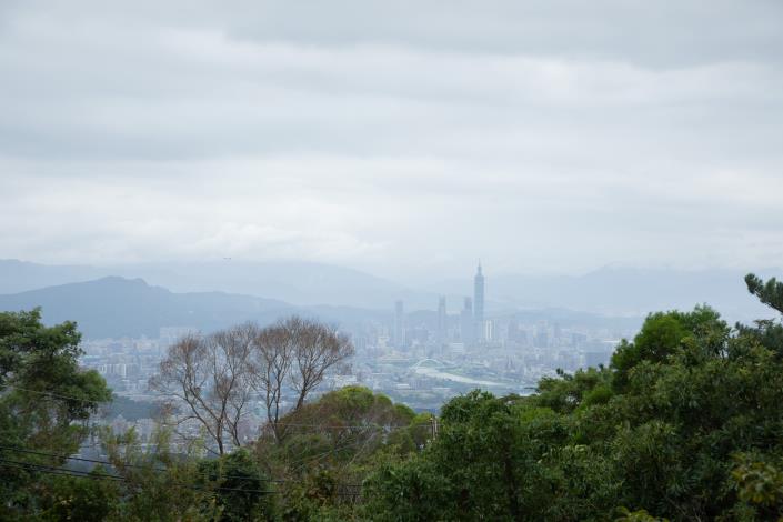 照片2 臺北市淺山森林