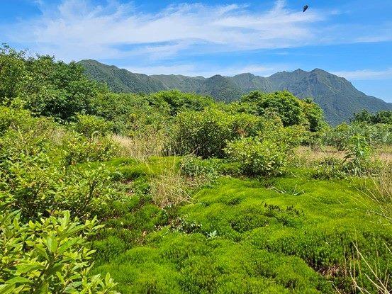 照片4 土馬騌地景