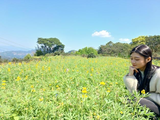 照片4 樟樹步道隨著四季更換花海品種