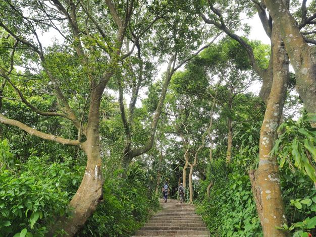 照片3-圓山風景區劍潭山親山步道