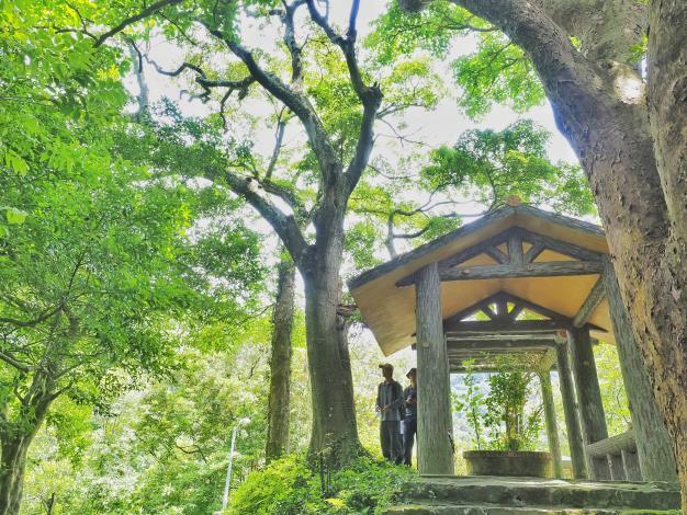 照片8-香楠  貴子坑親山步道