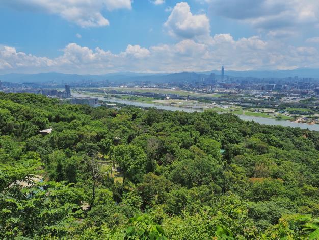 照片4-圓山風景區市區觀景平台俯瞰樹海