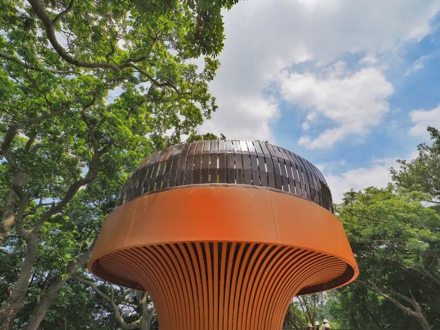 照片9 森林方舟上的瞭望台(三)