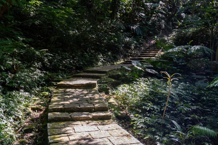 照片4-臺北大縱走大縱走第六段