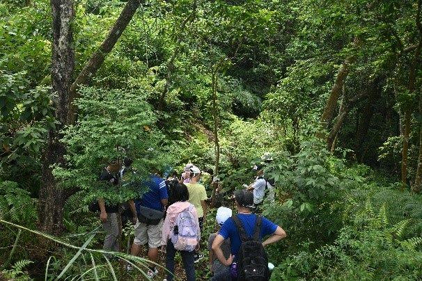 圖片4-撫育作業體驗講解