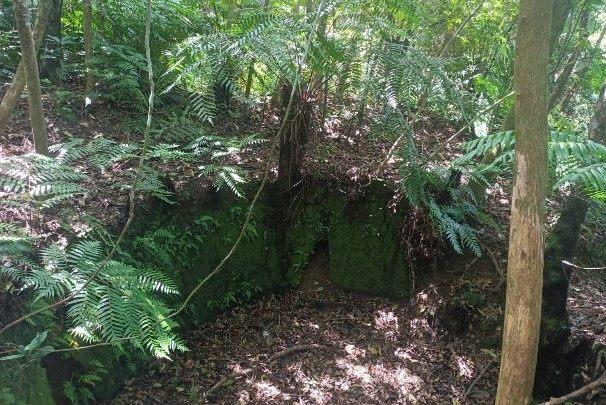 圖片5-木炭窯遺址