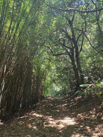 照片3-橫嶺古道