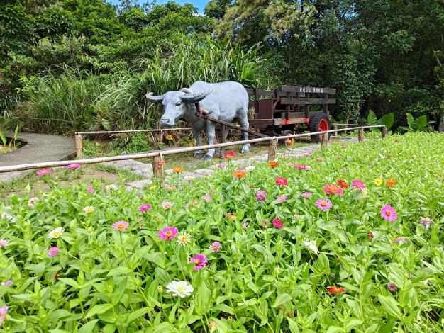 1.牛車花景