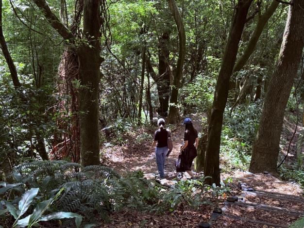 照片5.步道平緩易行