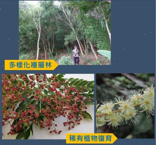 02營造出多層次原有林相,並復育珍稀植物