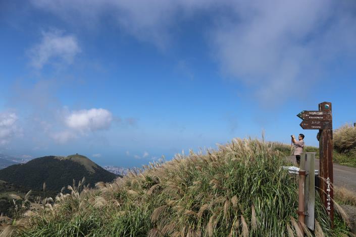 照片6-步道旁芒草.JPG