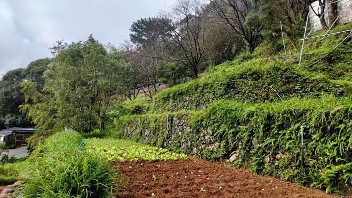 08服務團技師輔導農民施作砌石擋土牆