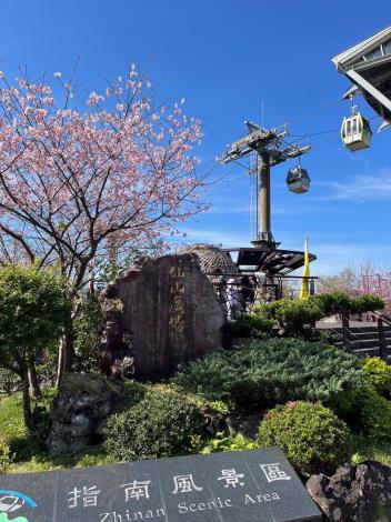照片12 指南風景區櫻花林(花季約3月)