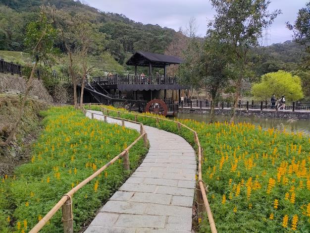 3. 114年樟樹步道花海