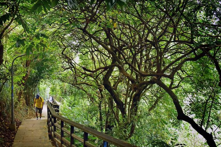 照片1－劍潭山步道