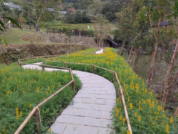 3. 往年魯冰花海成果3