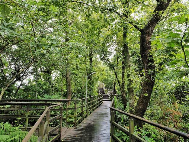 照片5：仙跡岩風景區林蔭滿滿