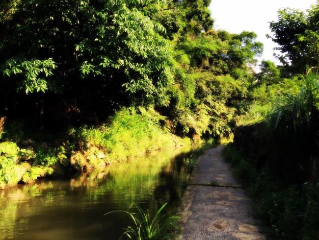 圖5:擁有豐富生態資源的內溝溪。