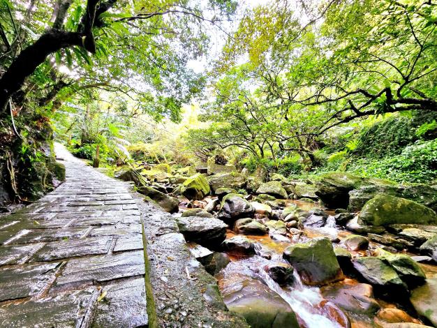 照片3圓覺寺步道-1
