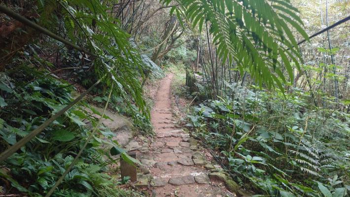 圖5.豹山溪自然景觀5