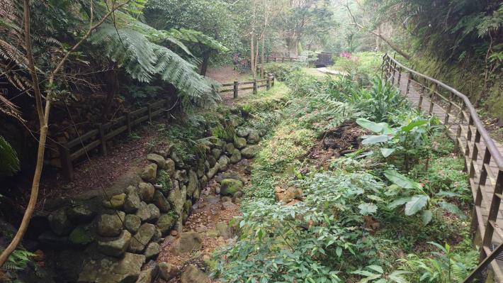 圖7.豹山溪自然景觀7