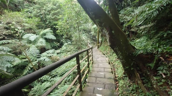 圖6.豹山溪自然景觀6