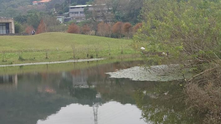 圖10.永春埤生態濕地公園