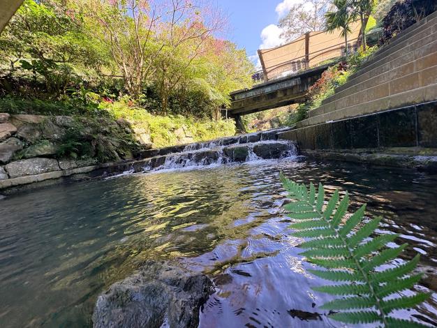 平台下方溪水潺潺